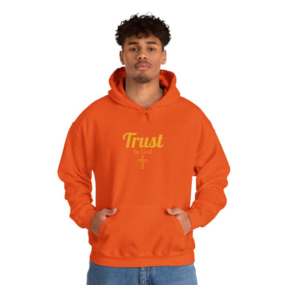 Trust In God Cotton Hoodie