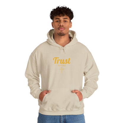 Trust In God Cotton Hoodie